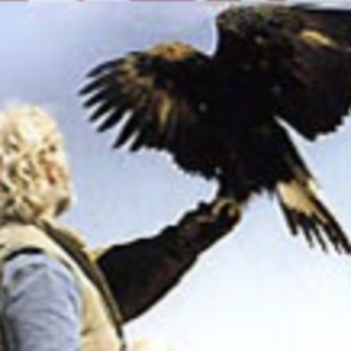 Last Chance Forever Birds of Prey Conservancy picture