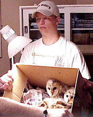 Person with box of orphaned owls