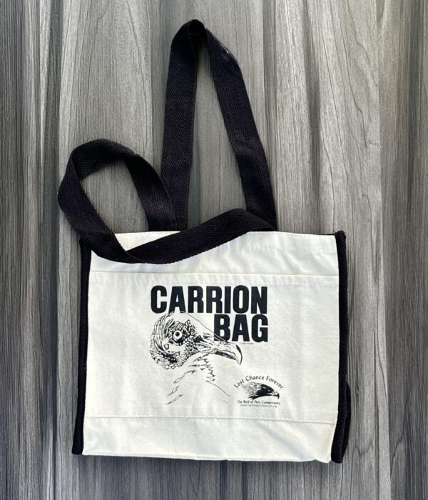 Carrion bag with black handles