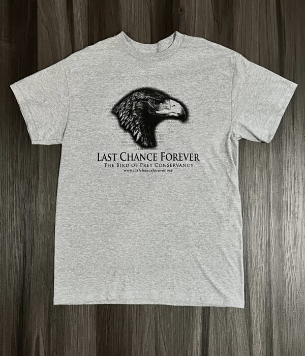 Gray Golden Eagle shirt