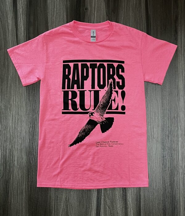 Front of neon pink Raptors Rules shirt