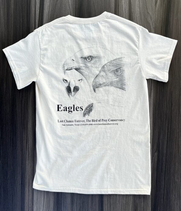 Back of three eagles shirt